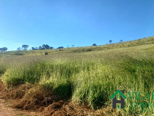 #4336 - Fazenda para Venda em Oliveira - MG - 1