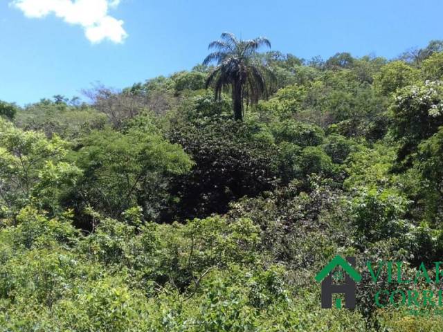 #4348 - Fazenda para Venda em Belo Horizonte - MG - 3