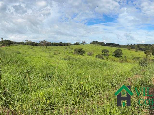 Fazenda para Venda em Bom Sucesso - 4