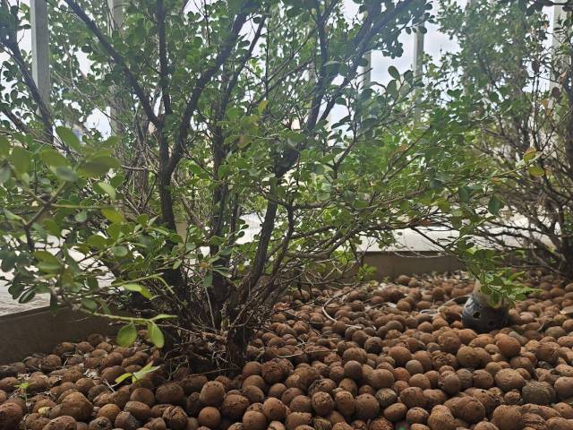 #4364 - Apartamento para Venda em Belo Horizonte - MG - 3