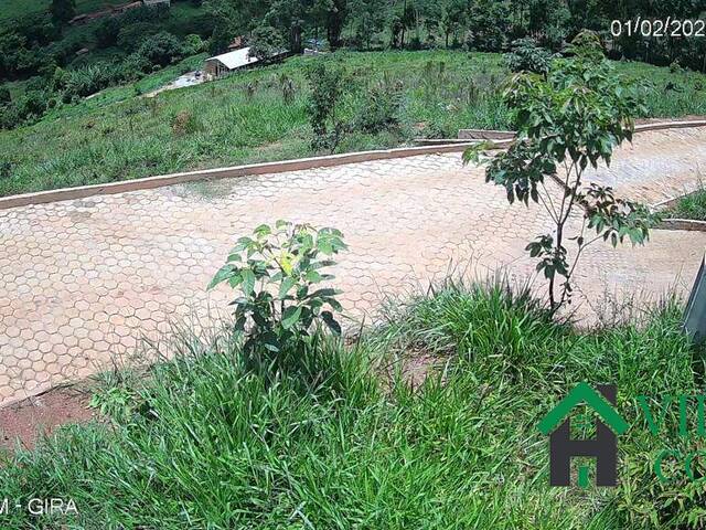 #4400 - Sítio para Venda em Santana dos Montes - MG - 3