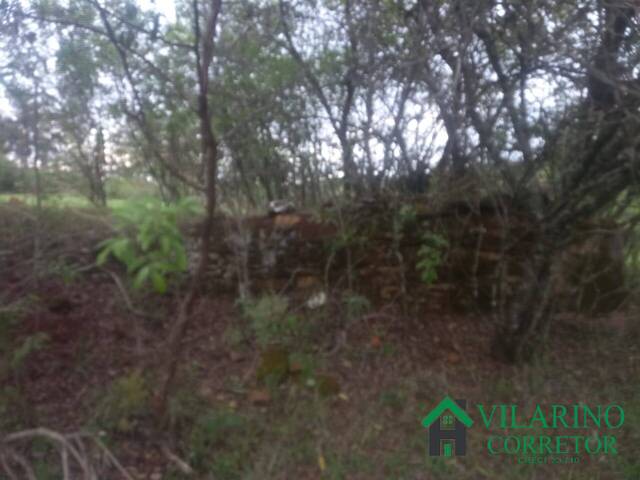 #4402 - Área para Venda em Passa Tempo - MG - 3