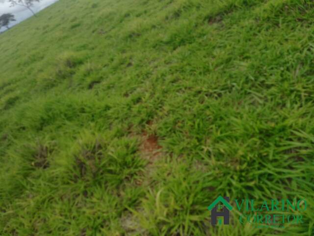 #4405 - Área para Venda em Passa Tempo - MG - 1