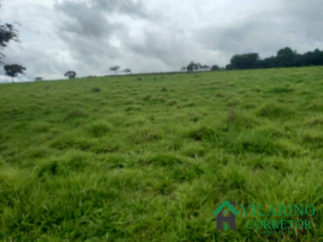 #4405 - Área para Venda em Passa Tempo - MG - 3