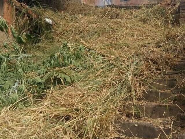 #4407 - Área para Venda em Belo Horizonte - MG - 2