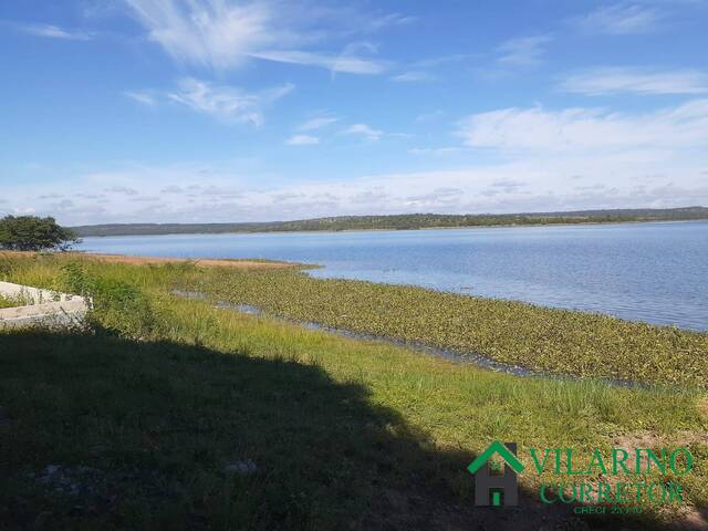 #4421 - Lote para Venda em Felixlândia - MG - 3