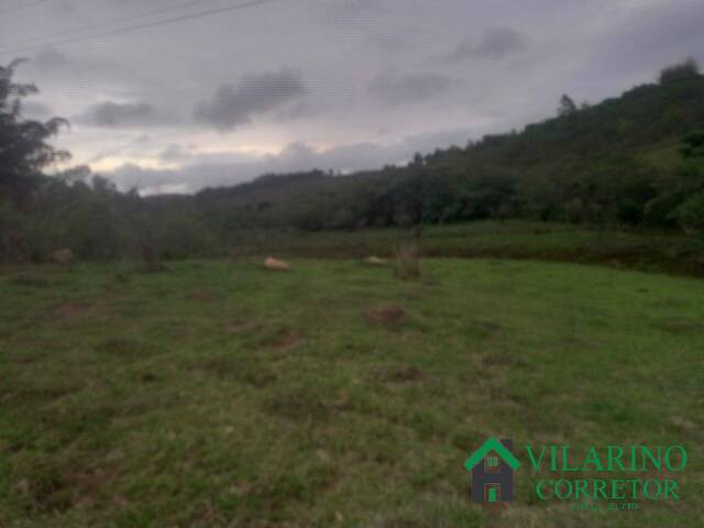 #4461 - Área para Venda em Passa Tempo - MG - 3