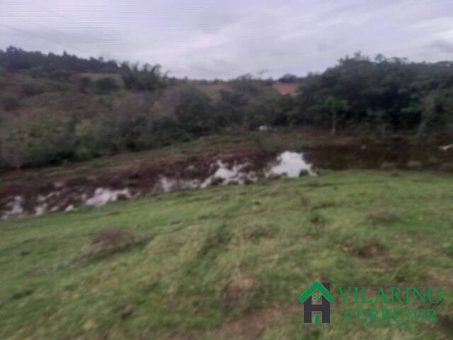 Área para Venda em Passa Tempo - 4