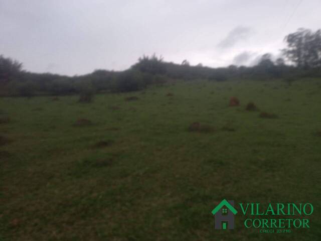 Área para Venda em Passa Tempo - 5