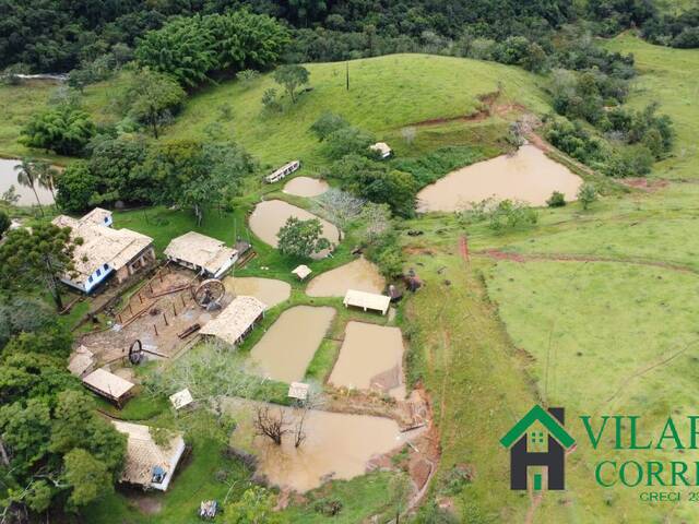 #4463 - Fazenda para Venda em Carmópolis de Minas - MG - 2