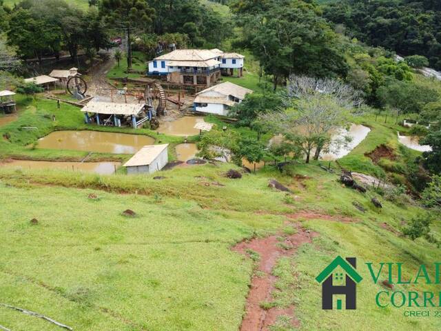 #4463 - Fazenda para Venda em Carmópolis de Minas - MG - 3
