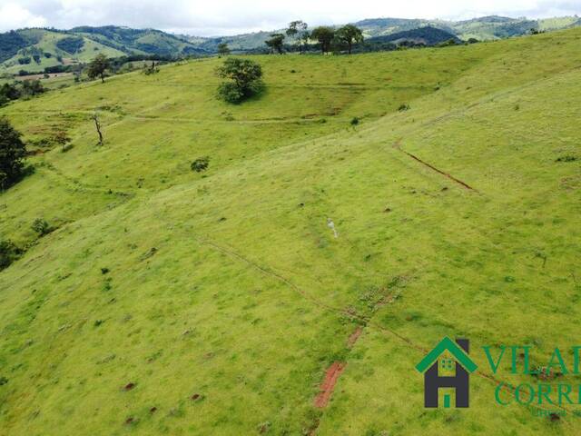 Fazenda para Venda em Carmópolis de Minas - 5