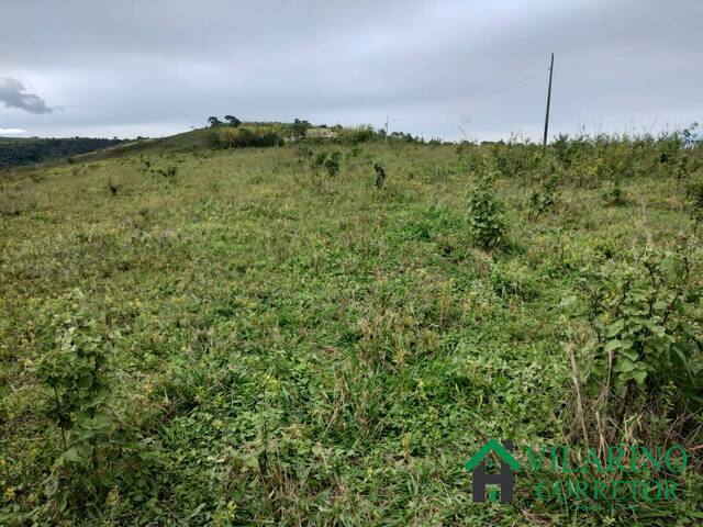 #4469 - Fazenda para Venda em Medeiros - MG - 2