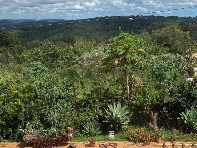 #4470 - Fazenda para Venda em Santa Luzia - MG - 3