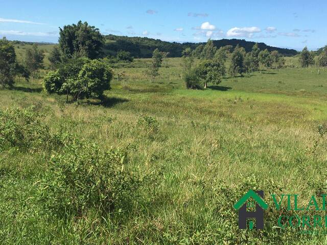 #4483 - Fazenda para Venda em Araruama - RJ - 3