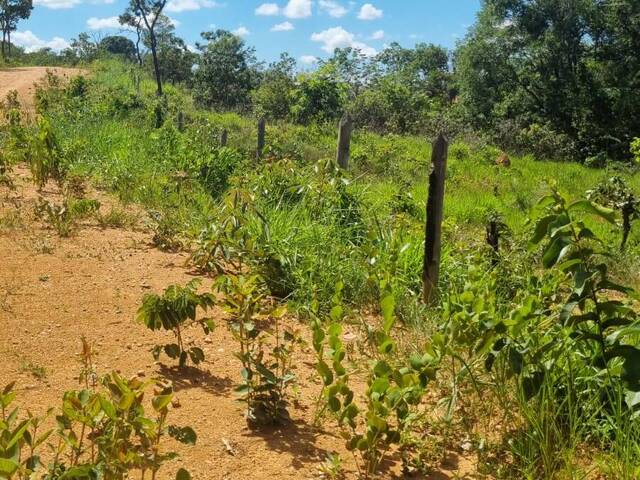 Área para Venda em Jaboticatubas - 4