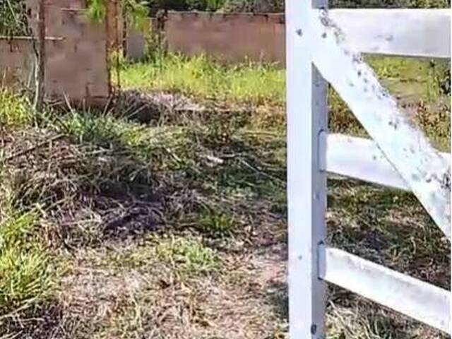 #4531 - Fazenda para Venda em Bom Jesus do Amparo - MG - 3