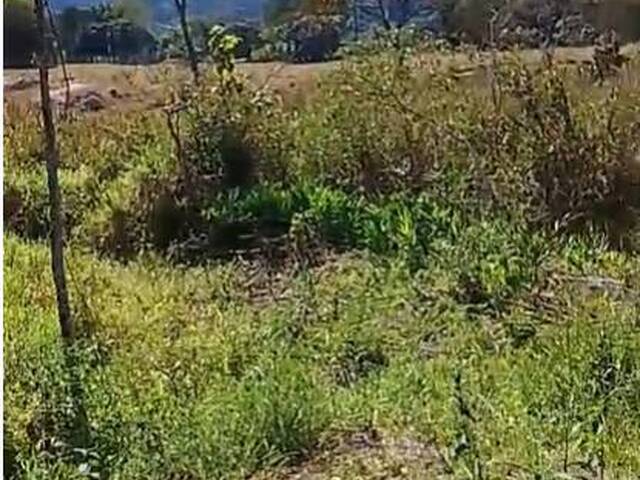 Fazenda para Venda em Bom Jesus do Amparo - 4