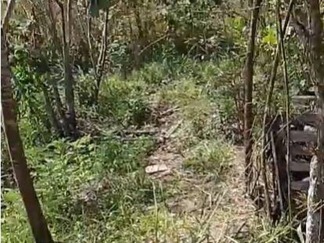 Fazenda para Venda em Bom Jesus do Amparo - 5