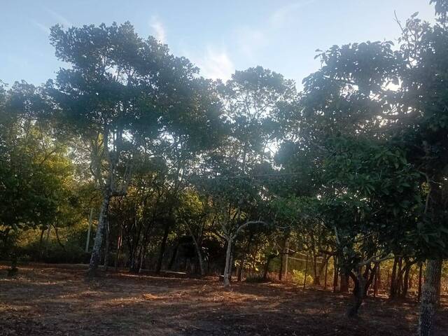 Lote para Venda em Esmeraldas - 5