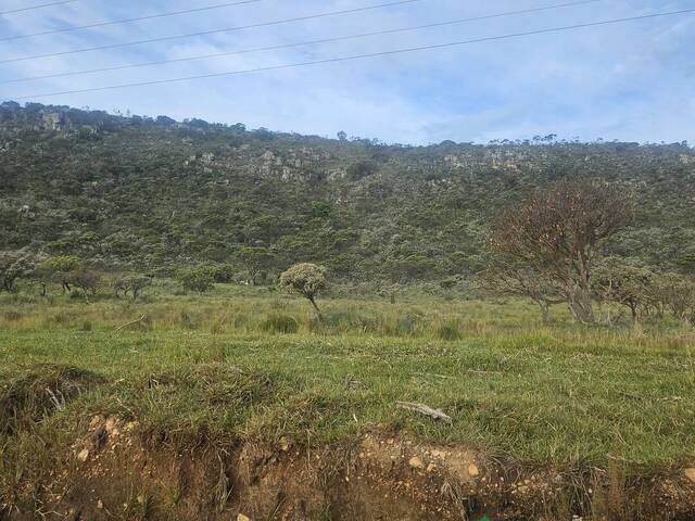 Fazenda para Venda em Santana do Riacho - 5