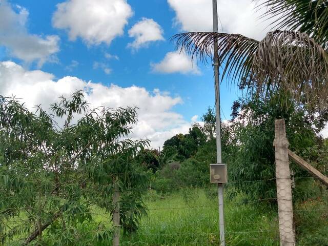 #4547 - Lote para Venda em Bom Jesus do Amparo - MG - 3