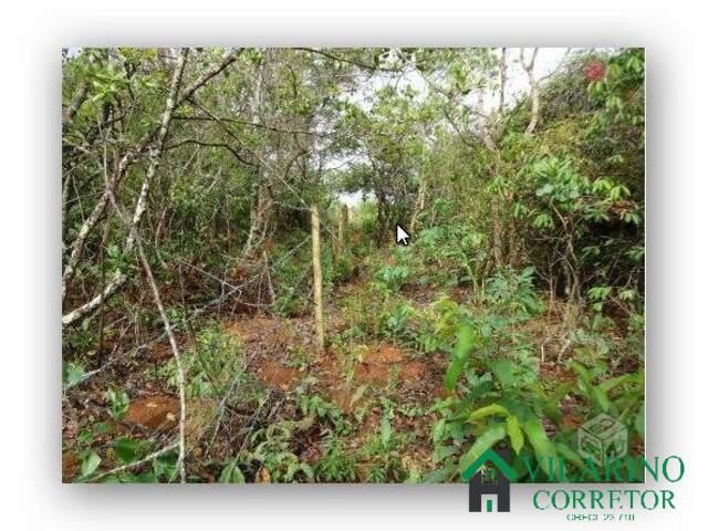 Venda em QUINTAS DOS PALMARES - Caetanópolis