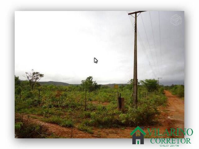 #1393 - Sítio para Venda em Caetanópolis - MG - 2