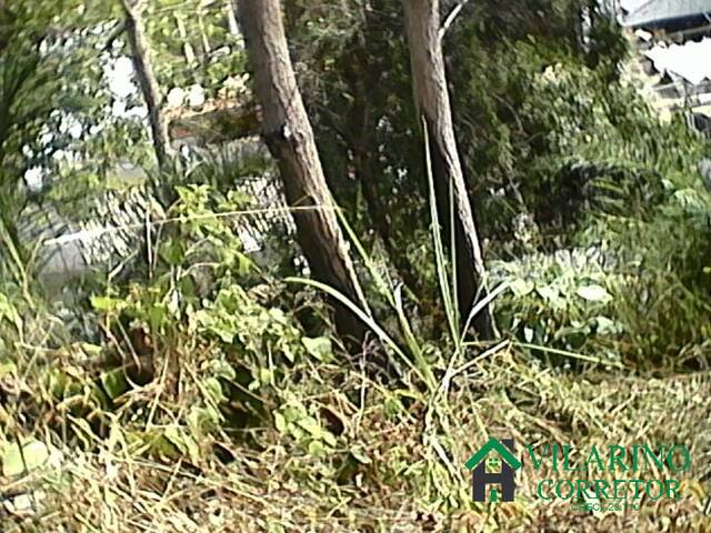 Sítio para Venda em Sabará - 4