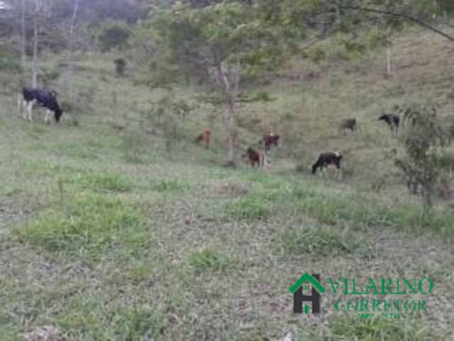 Fazenda para Venda em Ladainha - 4