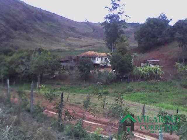 Fazenda para Venda em Peçanha - 4