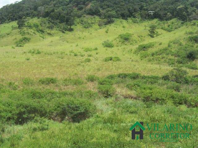 Fazenda para Venda em Peçanha - 5