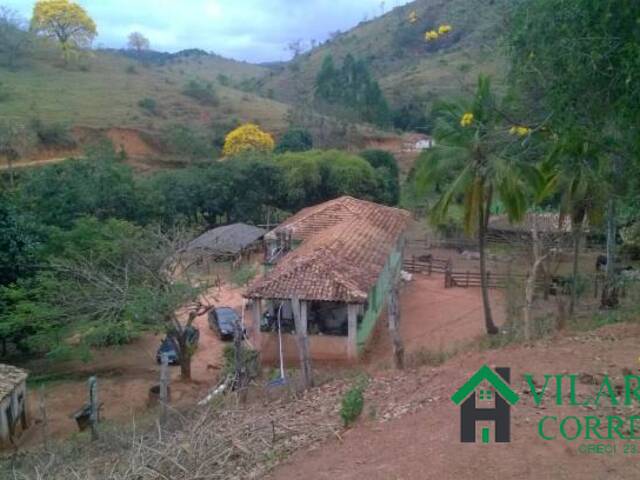 #1513V - Fazenda para Venda em Peçanha - MG - 3