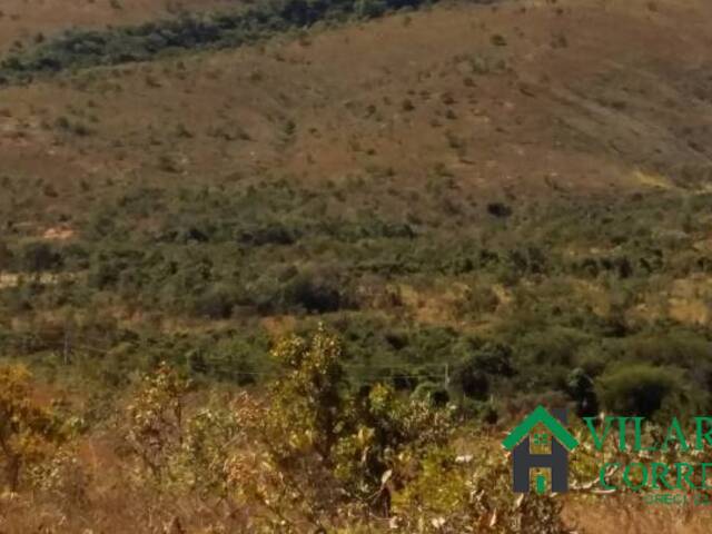 Venda em QUINTAS DOS PALMARES - Caetanópolis