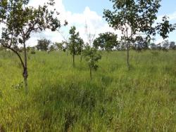 Imóveis à venda em Mateus Leme MG Imóvel em Mateus Leme