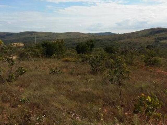 Venda em QUINTAS DOS PALMARES - Caetanópolis