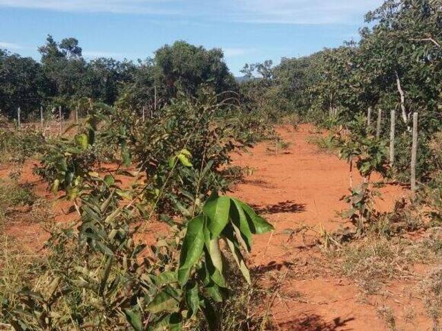 #1960V - Terreno para Venda em Jaboticatubas - MG - 2