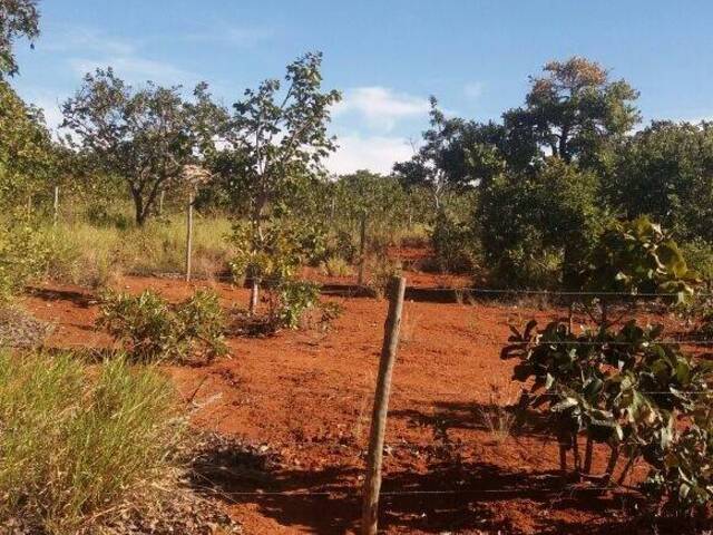 #1960V - Terreno para Venda em Jaboticatubas - MG - 3