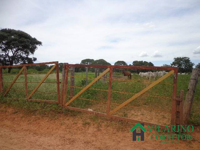 #1979V - Fazenda para Venda em Januária - MG - 2