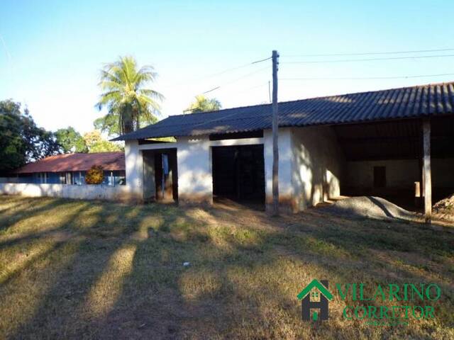 #1979V - Fazenda para Venda em Januária - MG - 3