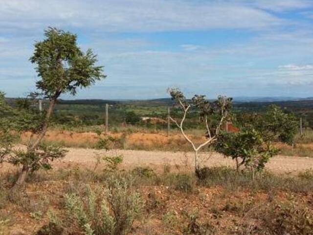 #1983 - Área para Venda em Caetanópolis - MG - 1