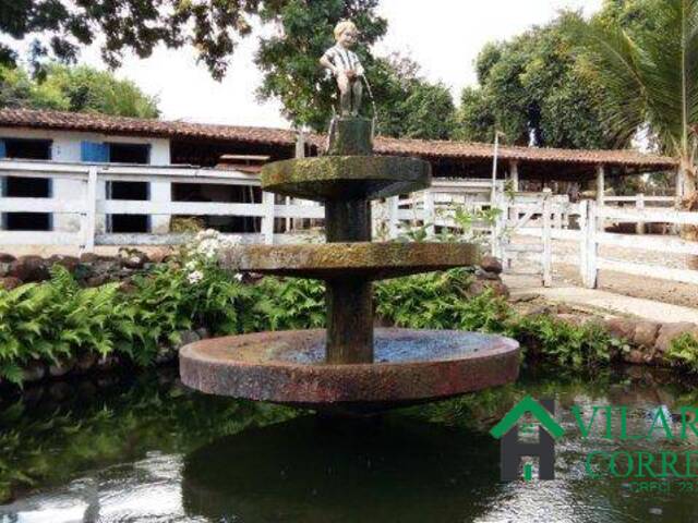 #1984 - Fazenda para Venda em Caetanópolis - MG - 2