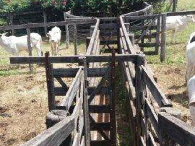 Fazenda para Venda em Unaí - 4