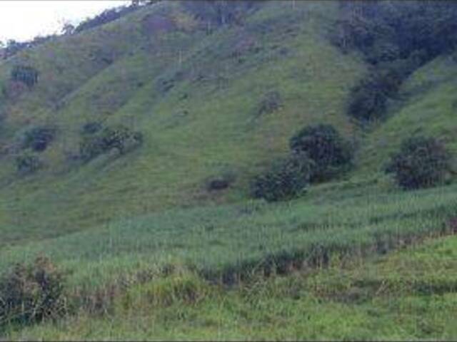 #2012V - Fazenda para Venda em Ferros - MG - 3