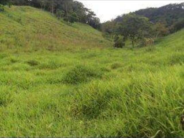 Fazenda para Venda em Ferros - 5