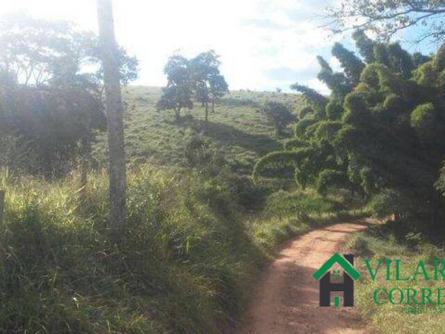 #2013V - Fazenda para Venda em Passa Tempo - MG - 2