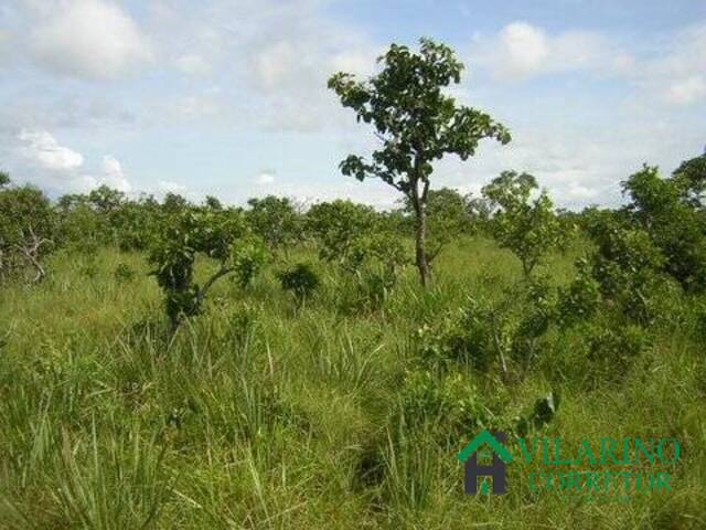 #1318V - Fazenda para Venda em Nova Brasilândia - MT - 3