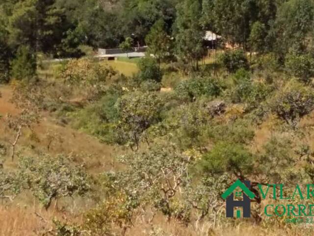 Sítio para Venda em Caetanópolis - 4