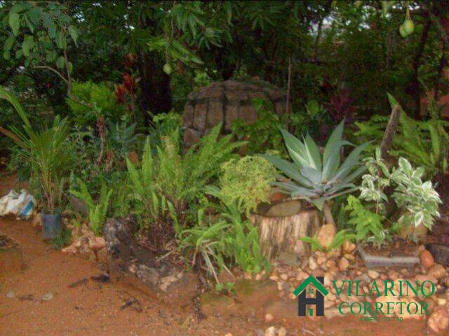Sítio para Venda em Caetanópolis - 4