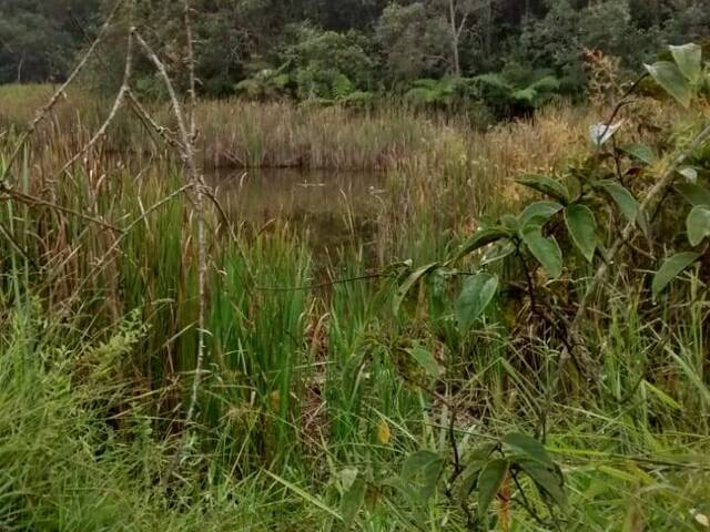 Venda em ZONA RURAL - Bom Jesus do Amparo